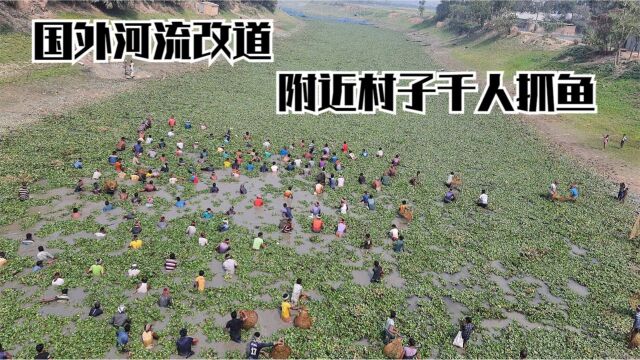 国外主河流改道,当地村子几千人用竹筐来抓鱼,让大家见识一下