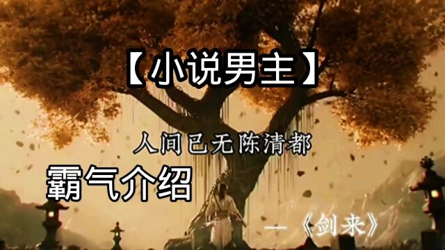 小说男主:霸气介绍