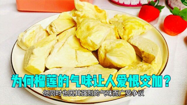 为何榴莲的气味让人爱恨交加?