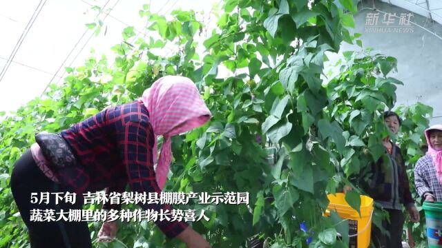 吉林梨树:智能化棚膜产业助力农户增收