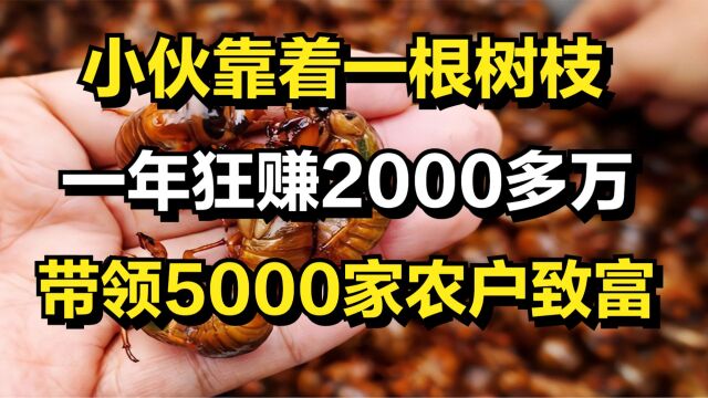 农村小伙靠着一根树枝,一年狂赚2000多万,带领5000家农户致富