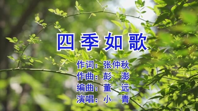 四季如歌 作词:张仲秋 作曲:彭 澎 编曲:董 远 演唱:小 青