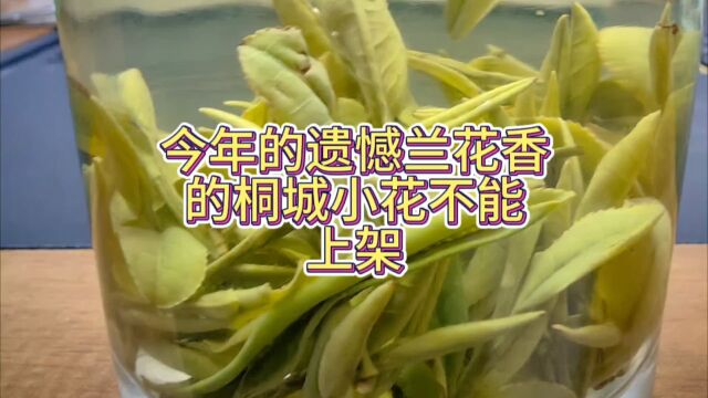 豆香兰花香的茶叶我都喜欢,黄版龙井太平猴魁舒城小兰花桐城小花