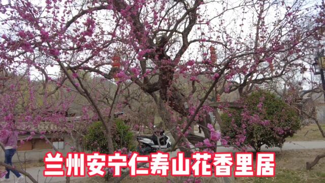 兰州安宁仁寿山——花香里居休闲娱乐好去处