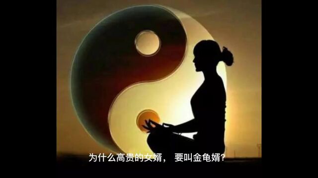 为什么有钱的女婿,叫金龟婿?