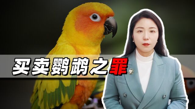 3个人买卖一只鹦鹉,全被法院判刑,背后的法律依据是什么?