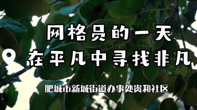 肥城市新城街道贵和社区|网格的一天 在平凡中寻找平凡