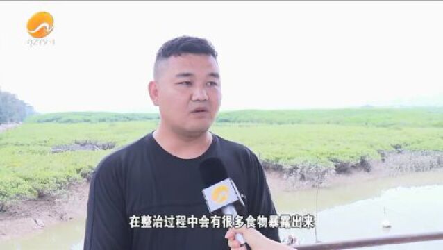 泉州:为生物多样性提供栖息沃土