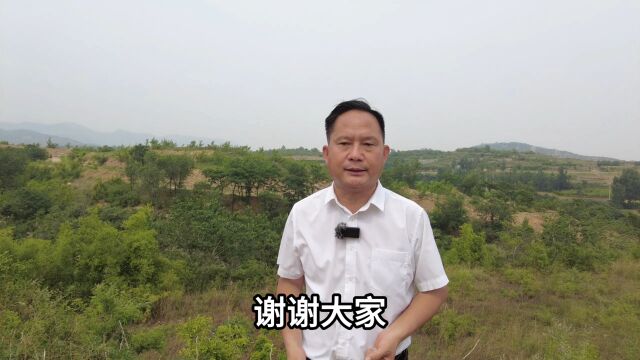 弘扬国学传统文化 关于左右平衡