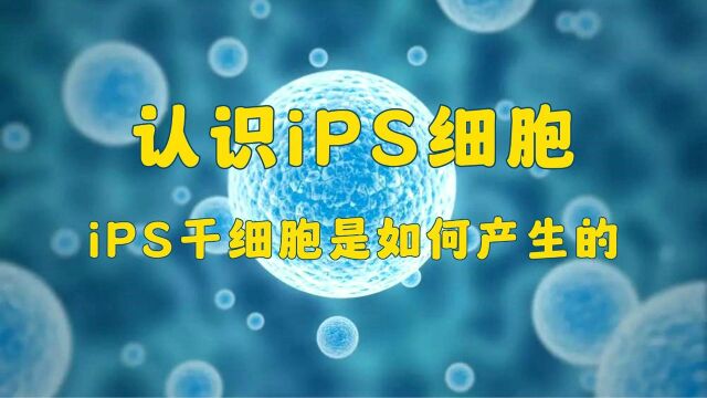 认识iPS细胞,iPS干细胞是如何产生的