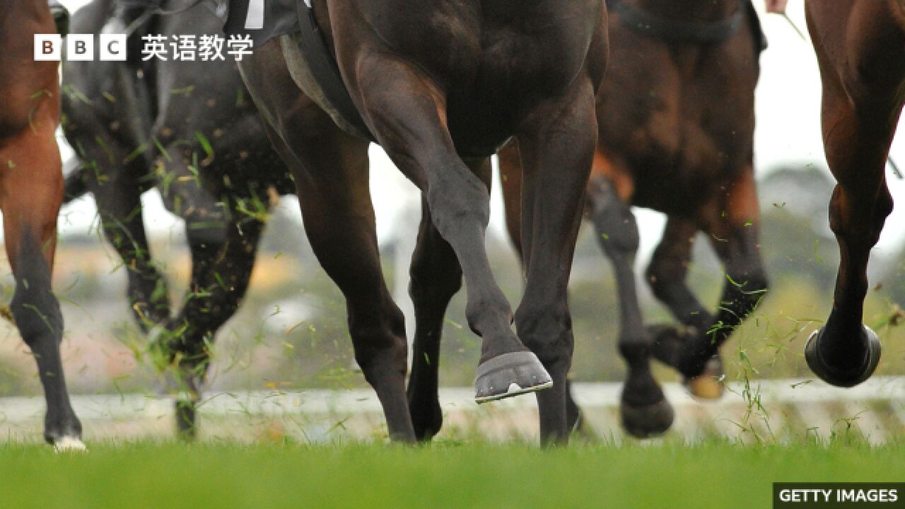 BBC媒体英语:Grand National 英国国家障碍赛马大赛为安全考虑修改赛制