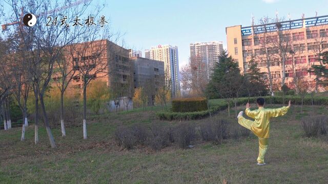 24式太极拳正向示范烟台理工学院 吕超