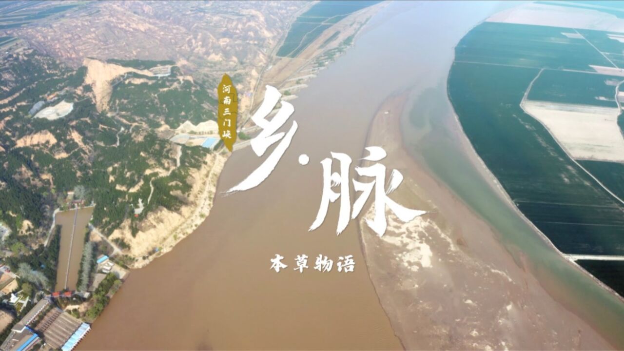 河南|乡脉 ⷠ和美乡村万里行