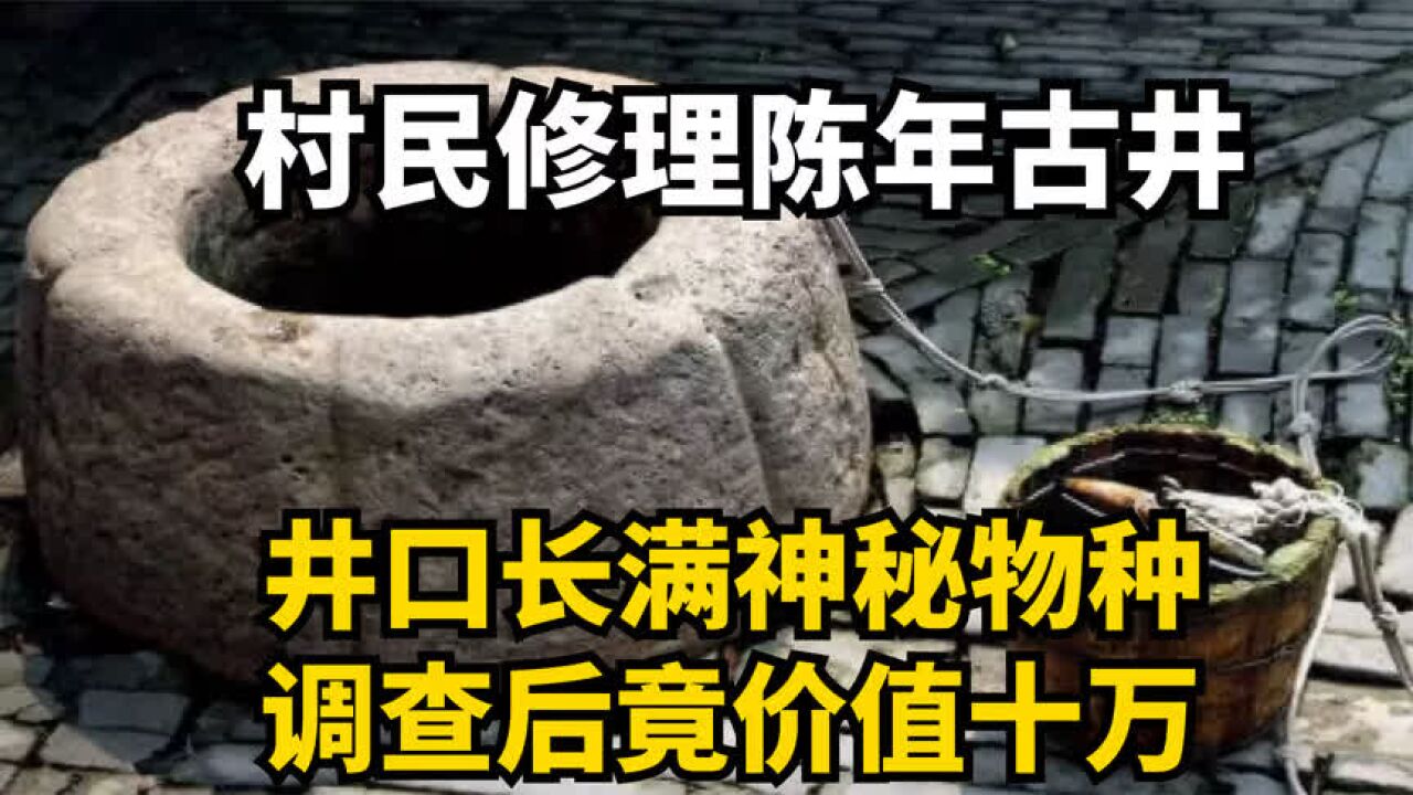 村民修理陈年古井,井口长满神秘物种,没想到竟是个宝贝