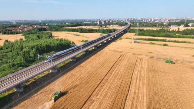 邹平市西董街道:高铁穿过丰收的麦田