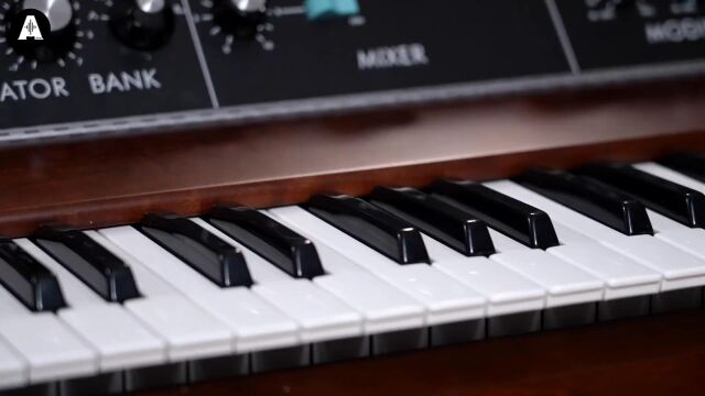 Moog Minimoog Model D 2022 Reissue!  Jack's Impressions!