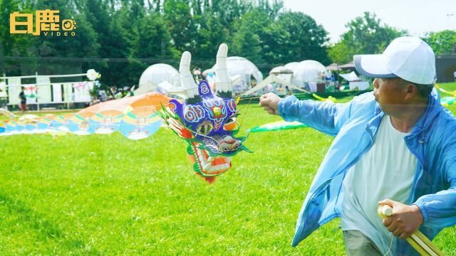 西安市民放飞108幅兵马俑图风筝串