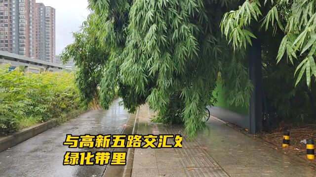 武汉光谷一路绿化带竹子低垂至非机动车道