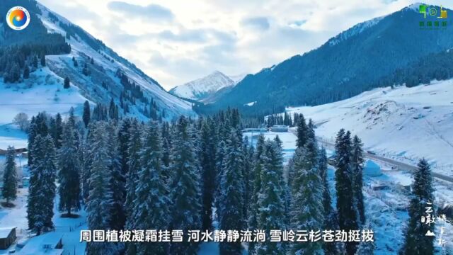 视频:绿水青山丨新疆特克斯:琼库什台雪后美景,每一帧都是仙境!