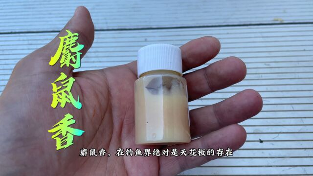 “麝鼠香”钓鱼界的诱食扛把子,天然香型穿透力强