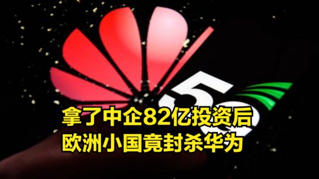 拿了中企82亿投资后,欧洲小国竟封杀华为、中兴,网友:白眼狼