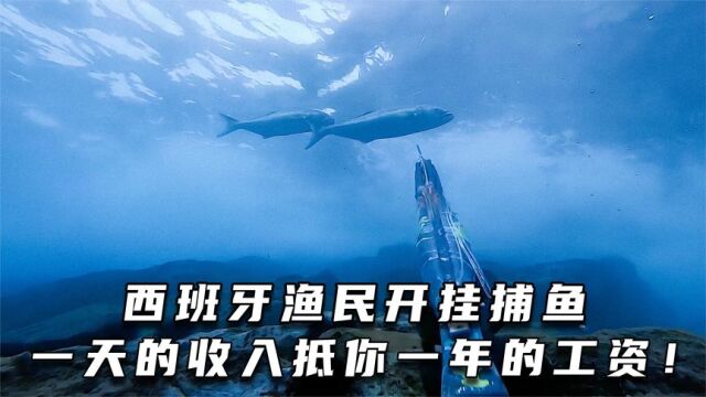 西班牙渔民开挂捕鱼,一天的收入抵你一年的工资!