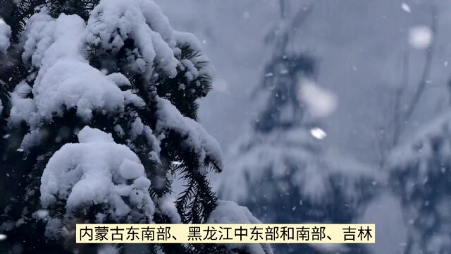 东北的大雪