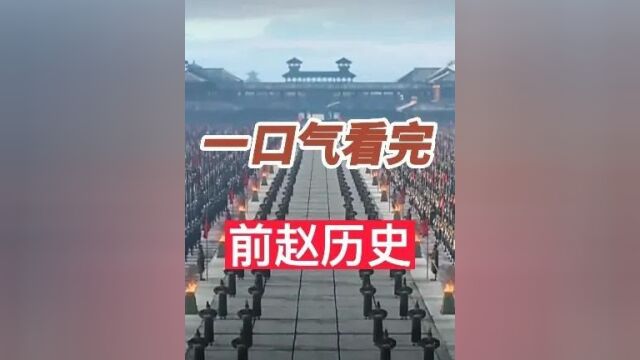 一口气看完匈奴汉赵政权,汉昭武帝刘聪杀两位晋帝上