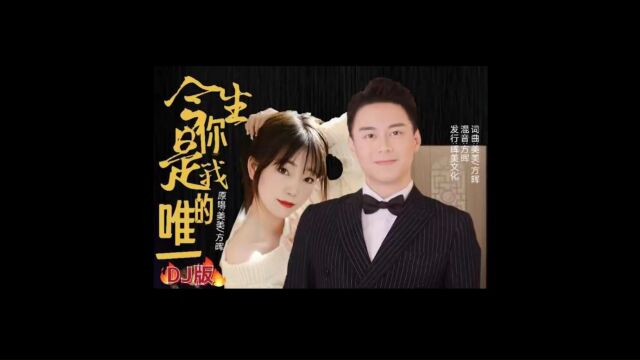 今生你是我的唯一(DJ版合)美美 /方晖