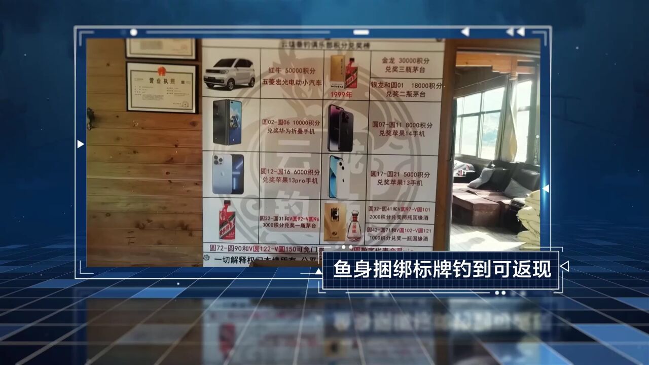 钓鱼还是被钓?记者走访发现福州鱼塘兴起“标鱼”风