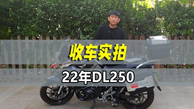 实拍22年公户#DL250#机车毒药#