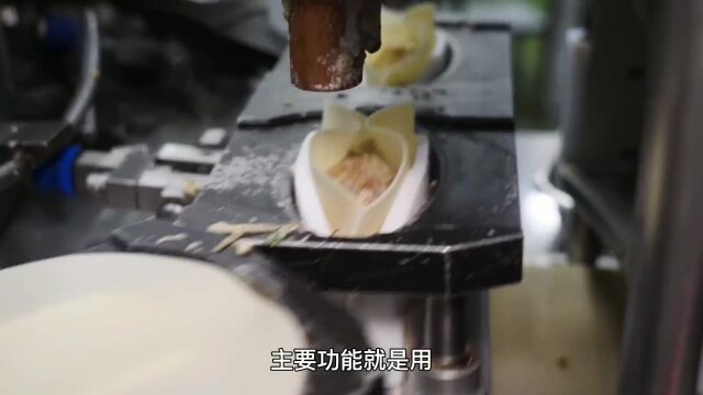 全国超大型饺子加工厂,一天生产上吨饺子,够10000人填饱肚子