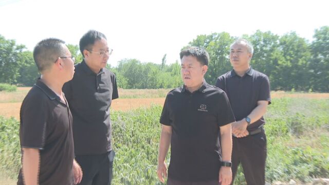 李国向就生态环境保护重点项目进展情况现场办公