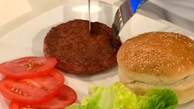 捷克一公司获欧盟批准用“细胞培育肉”生产宠物食品