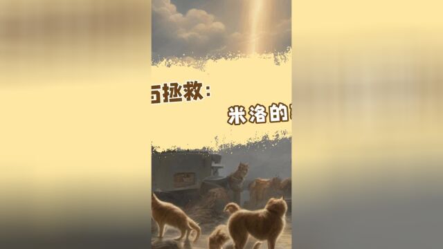 遗弃与拯救:米洛的转折 #汪星人