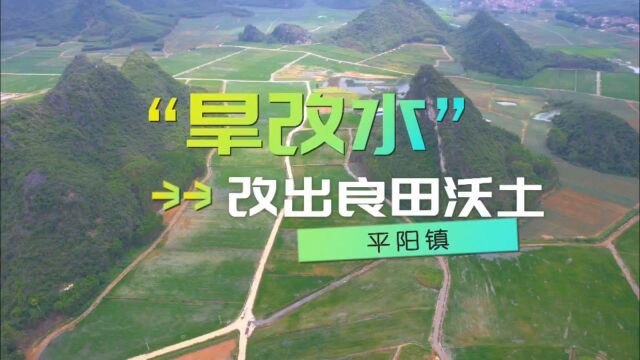 广西来宾市“旱改水”改出良田沃土