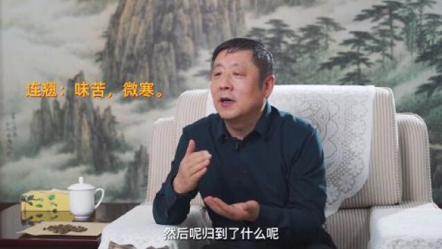 三分钟讲透经典|清热解毒ⷮŠ连翘