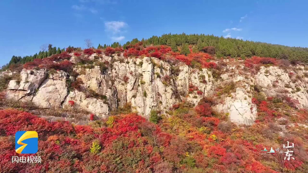 诗画山东|泰安东平:漫山红叶层林尽染