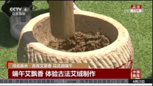 衡水市冀州区首届艾草文化节央视国际频道现场直播连线报道