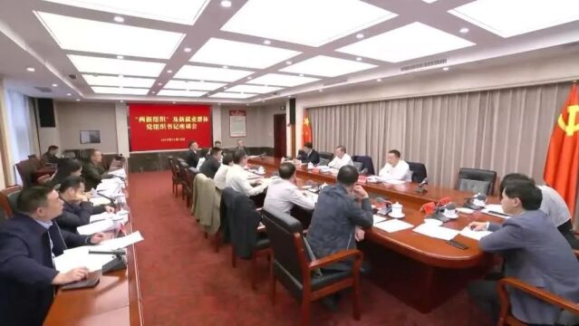 胡忠雄主持召开“两新组织”及新就业群体党支部书记座谈会