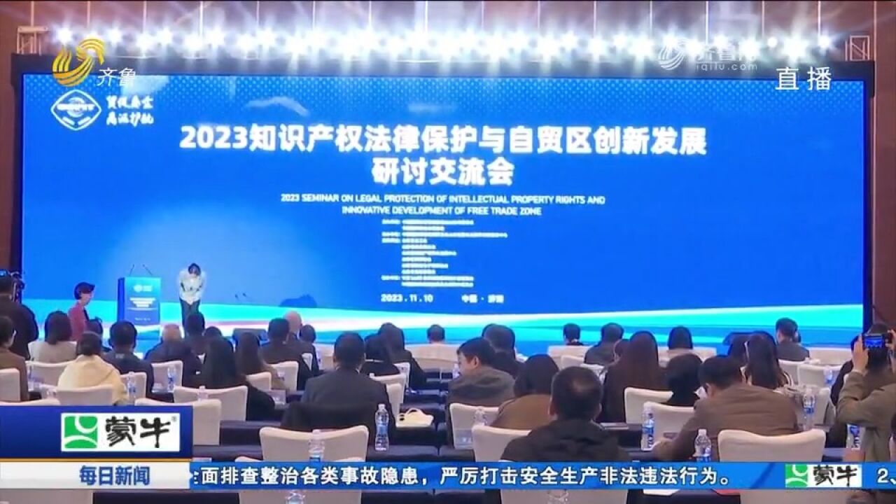 2023知识产权法律保护与自贸区创新发展研讨交流会在济南举办