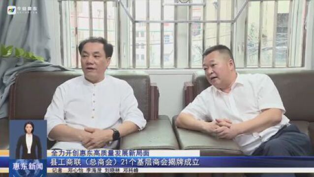 惠东县工商联(总商会)21个基层商会揭牌成立