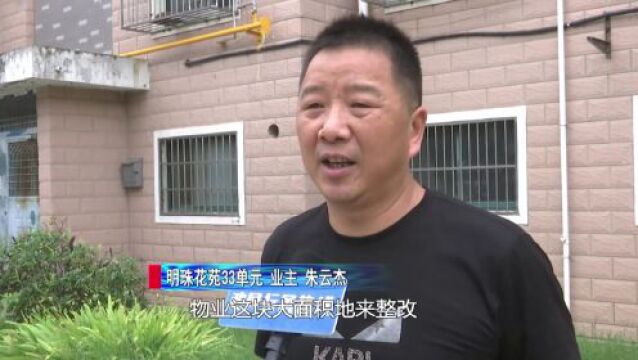 如皋市长上线后,这些问题得到了整改