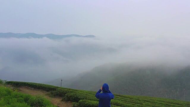 白岩山风车公路暴雨后的云海