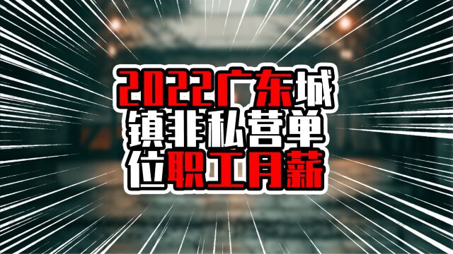 2022广东城镇非私营单位职工月薪,十五地超八千元,湛江升幅夺魁