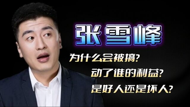 张雪峰为何被搞?他动了哪些人的利益?他到底是个好人还是坏人?