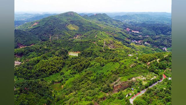 航拍株洲丨九郎山森林公园