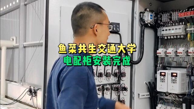 鱼菜高分享上海交通大学产学研鱼菜共生循环水养殖系统的自动化控制