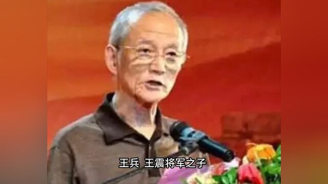 王震将军之子