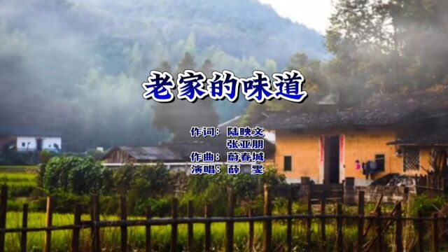 薛雯  老家的味道『帅鑫唱片KTV推荐』